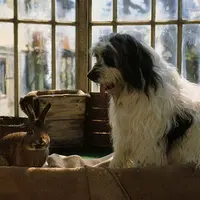 Weihnachten mit Willy Wuff - Mama braucht einen Millionär - extra.image