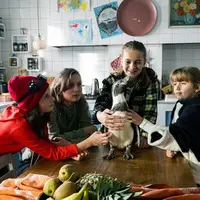 Die Chaosschwestern und Pinguin Paul - extra.image