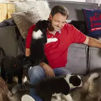 Die Welpen feiern Weihnachten - Mit Martin Rütter - extra.image