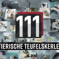 111 ... - extra.image
