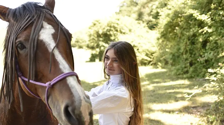 Edhel - Das Geheimnis des Elfenwaldes