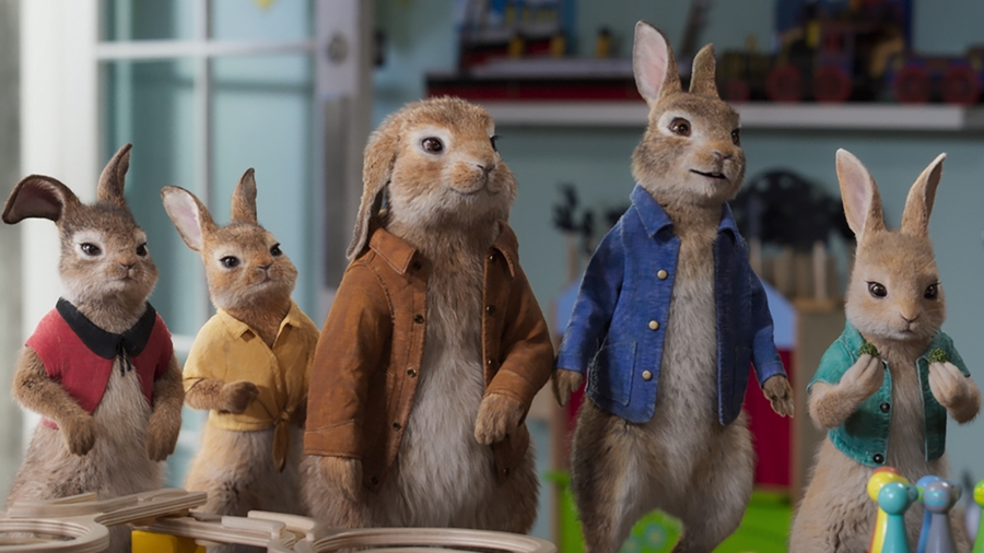 Peter Hase 2 – Ein Hase macht sich vom Acker