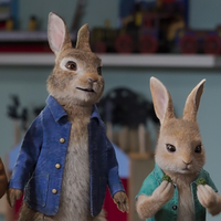 Peter Hase 2 – Ein Hase macht sich vom Acker - extra.image
