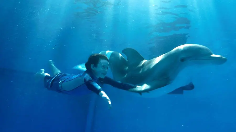 Mein Freund der Delfin