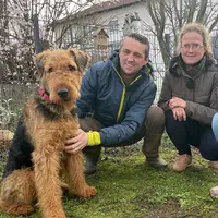 Rabauken auf 4 Pfoten - Mit Martin Rütter - extra.image