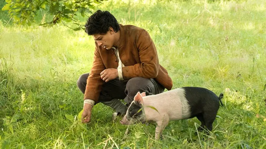 Der Schweinehirt