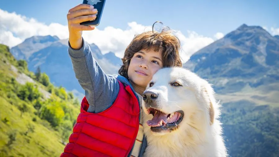 Belle und Sebastian - Ein Sommer voller Abenteuer