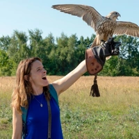Mein Falke - extra.image