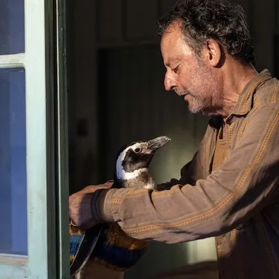 My Penguin Friend - extra.image