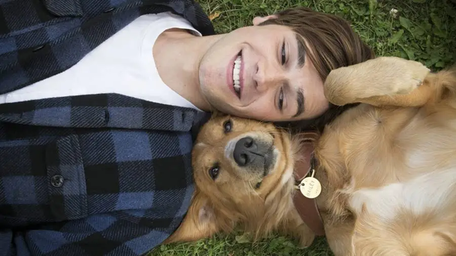 Bailey - Ein Freund für's Leben