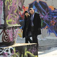 Blue Bloods - Crime Scene New York - extra.image