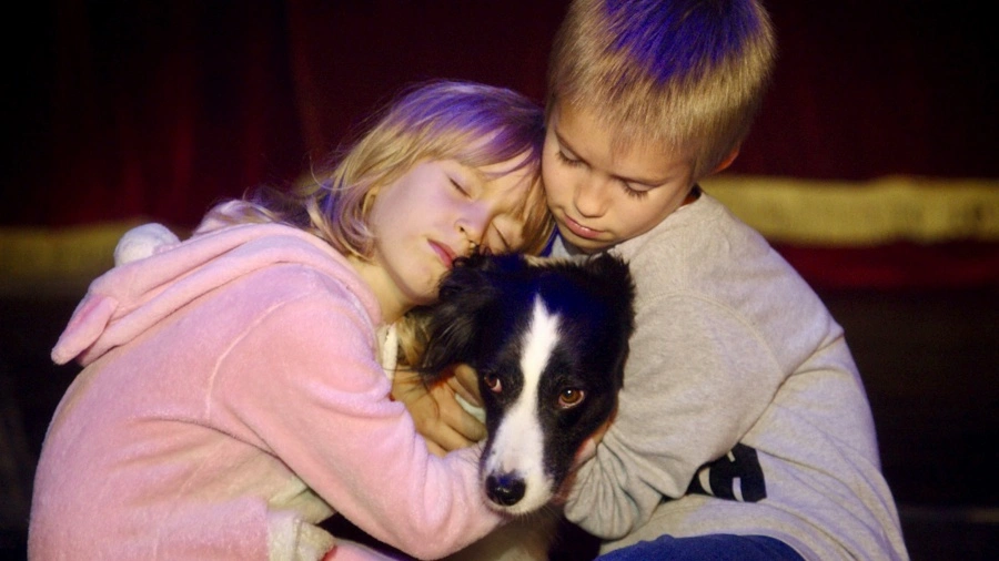 Slava, der Hund