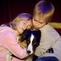 Slava, der Hund - extra.image