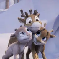 Niko - Reise zu den Polarlichtern - extra.image