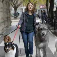 Bailey - Ein Hund kehrt zurück - extra.image