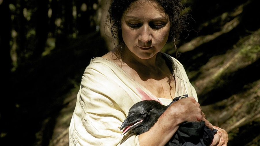 Die sieben Raben (2015)