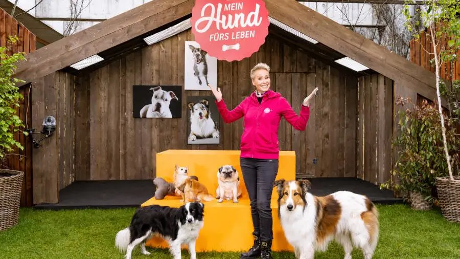 Mein Hund fürs Leben