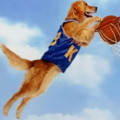 Air Bud - extra.image