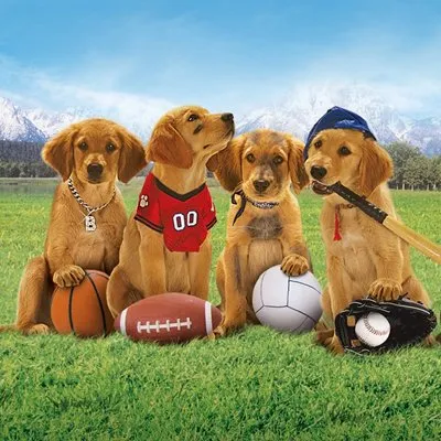 Air Buddies - extra.image
