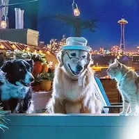 Cats & Dogs 3: Pfoten vereint! - extra.image