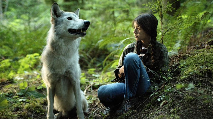 Shana - das Wolfsmädchen