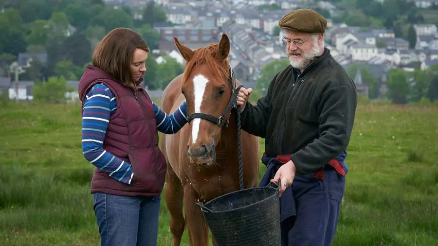 Dream Horse