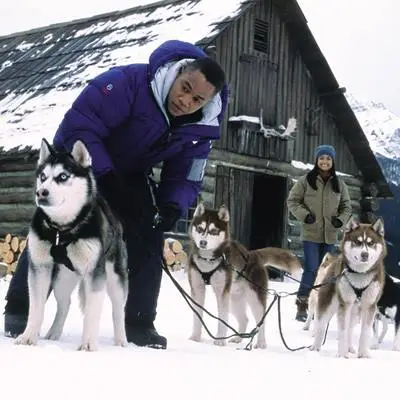 Snow Dogs - Acht Helden auf vier Pfoten - extra.image