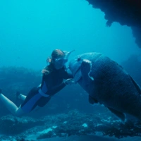 Blueback - Eine tiefe Freundschaft - extra.image