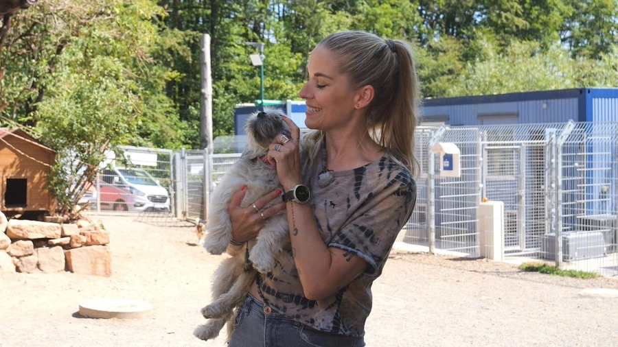 Dein perfekter Hund