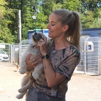 Dein perfekter Hund - extra.image