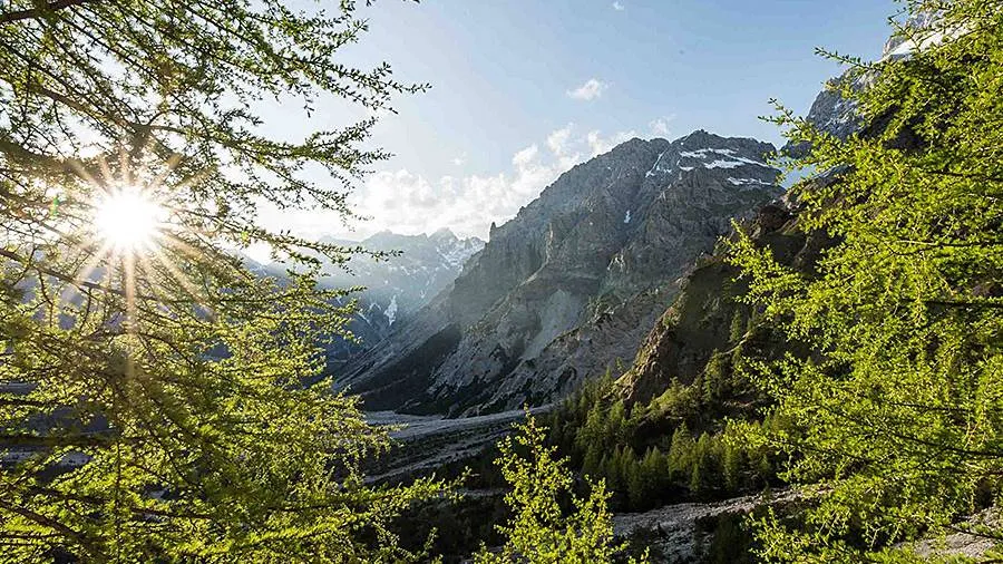 Heimat Natur