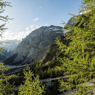 Heimat Natur - extra.image