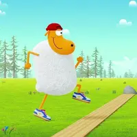 Karate Schaf - extra.image
