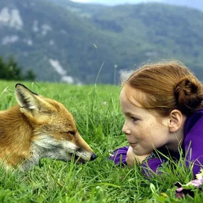 Der Fuchs und das Mädchen - extra.image