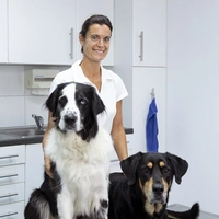Die Tierärzte - Retter mit Herz - extra.image