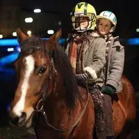 Das Pferd auf dem Balkon - extra.image
