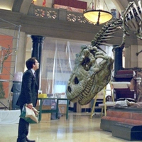 Nachts im Museum 2 - extra.image