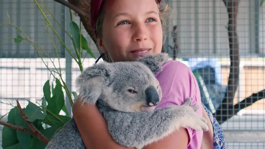 Izzy und die Koalas