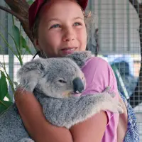 Izzy und die Koalas - extra.image