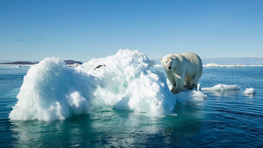 Der Klimawandel macht Kindern Angst