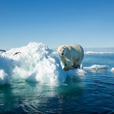 Der Klimawandel macht Kindern Angst - extra.image