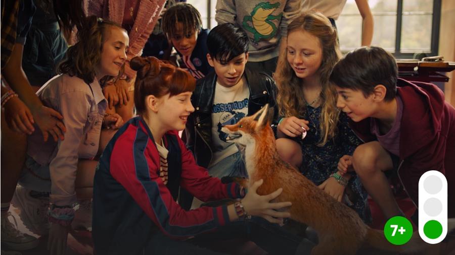 Die Schule der magischen Tiere