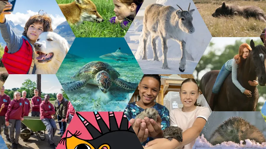 Die besten Tierfilme und -dokus für Kinder