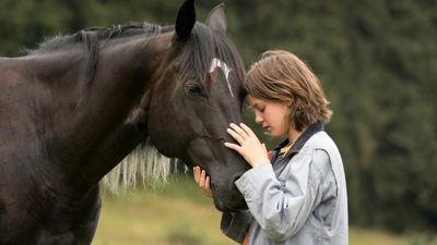 Ostwind - Aris Ankunft - extra.image