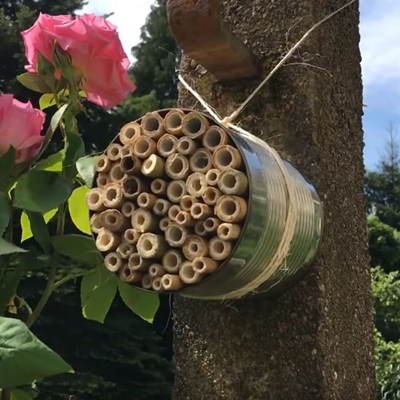 Bienenhotel bauen/SWR Kindernetz