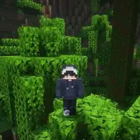 EinfachGustaf - extra.image