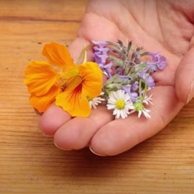 Mache mit! Kräuterlimonade | Mache mit! Natur verstehen und schützen - extra.image