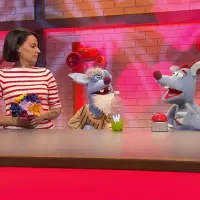 Warum streiten wir uns? l WOOZLE GOOZLE - extra.image