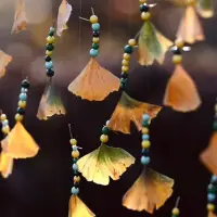 kindwaldundwiese - extra.image